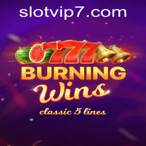 Exploring the Exciting World of BurningWins Slot Game